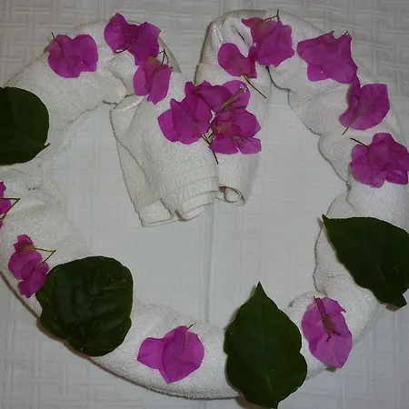 Sun Dream Apart Hotel Daire *